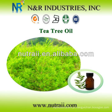 Fornecedor confiável Tea Tree Oil